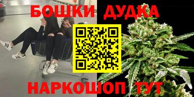 прущие грибы Пенза