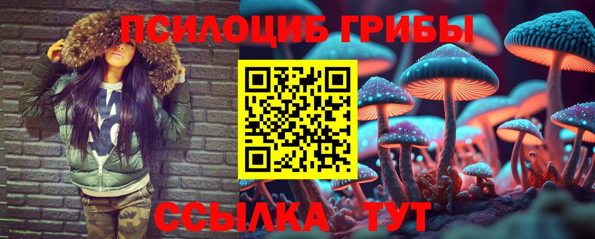 Галлюциногенные грибы Cubensis Пушкино