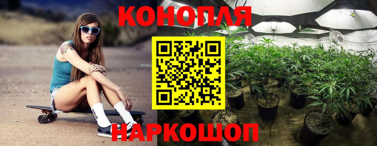 Пушкино  Бошки марихуана OG Kush  Вход с VPN  МАРИХУАНА семена 